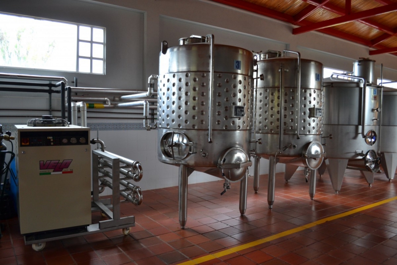 cave-SANARY SUR MER-min_wine_production_cantine_winery_drink_alcohol_vine_beverage-902036